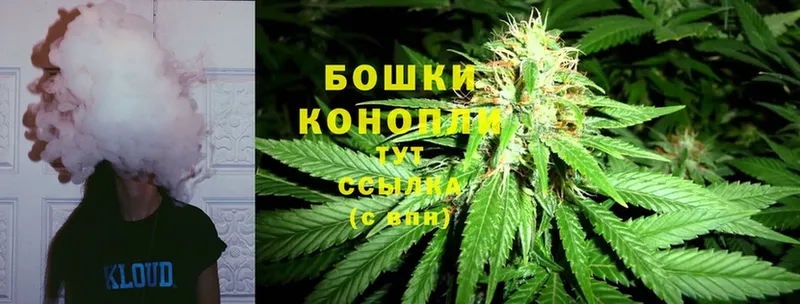 продажа наркотиков  OMG tor  Каннабис White Widow  Иннополис 